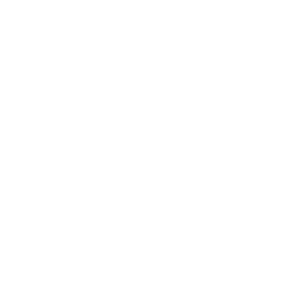 SEGURIDA Y CUSTODIA CDMX LOGOTIPO